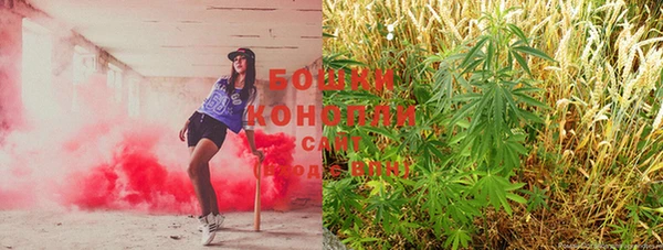 прущие крисы Богданович