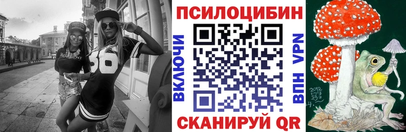 даркнет как зайти Верхняя Тура Псилоцибиновые грибы прущие грибы